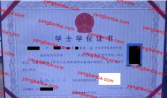 兰州商学院学士学位证书样本