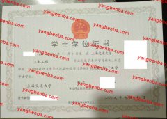 上海交通大学学士学位证书样本