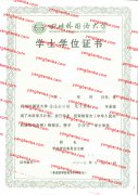 四川外国语大学学士学位证书样本