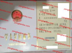 天津外国语学院学士学位证书样本