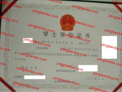 燕山大学学士学位证书样本