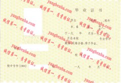 安徽红十字会卫生学校毕业证样本