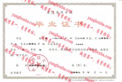 河南科技大学毕业证样本