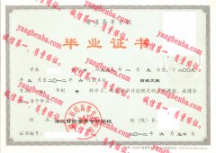 湖北财经高等专科学校毕业证样本