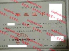 湖南机电职业技术学院毕业证样本