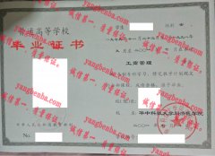 华中科技大学同济医学院毕业证样本