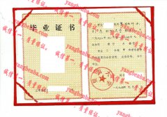 暨南大学毕业证样本