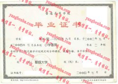 聊城大学毕业证样本