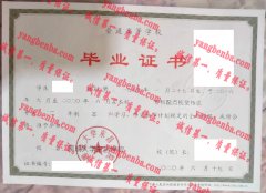 聊城大学东昌学院毕业证样本