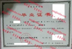 南京化工职业技术学院毕业证样本