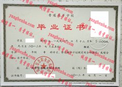 南京信息职业技术学院毕业证样本