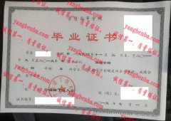 宁波若丁汉大学毕业证样本