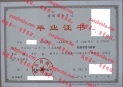 青岛科技大学毕业证样本