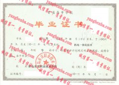 青岛求实职业技术学院毕业证样本