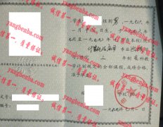 曲阜师范大学毕业证样本