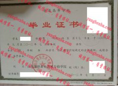 山东菏泽音乐艺术专修学院毕业证样本