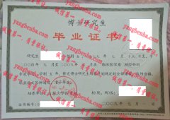 山东大学医学院毕业证样本