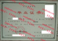 山东外事翻译职业学院毕业证样本