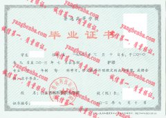 山东杏林科技职业学院毕业证样本