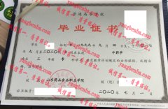 山东药品食品职业学院毕业证样本