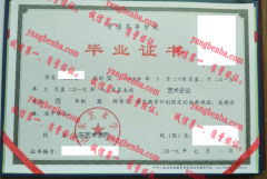 山东艺术学院毕业证样本