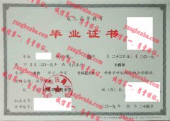 山东中医药大学毕业证样本