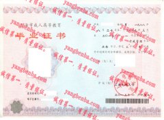 上海电视大学毕业证样本