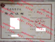 上海交通大学毕业证样本