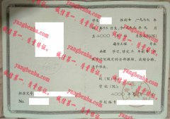 上海理工大学毕业证样本