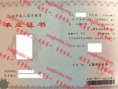 上海师范大学毕业证样本