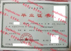 石家庄科技信息职业学院毕业证样本