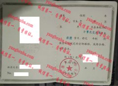 石油大学（华东）毕业证样本