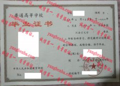 四川大学文学与新闻学院毕业证样本