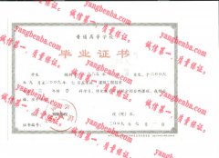 铜陵学院毕业证样本