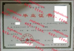 武汉船舶职业技术学院毕业证样本