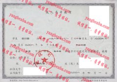 武汉大学毕业证样本