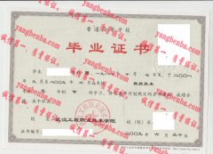 武汉工程职业技术学院毕业证样本