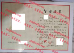 武汉工学院毕业证样本