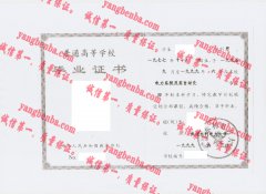 武汉水利电力大学毕业证样本