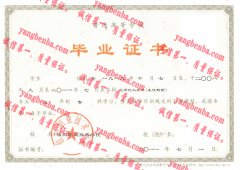 信阳职业技术学院毕业证样本