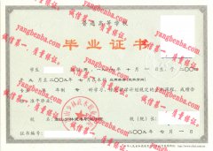 嵩山少林武术职业学院毕业证样本