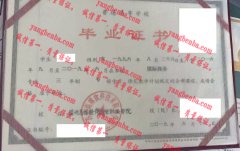 苏州高博软件技术职业学院毕业证样本