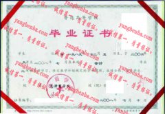 天津商学院毕业证样本