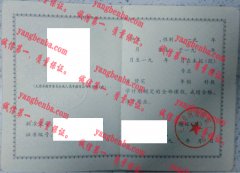 天津市河北区职工大学毕业证样本