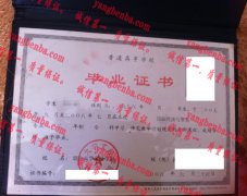 烟台大学文经学院毕业证样本