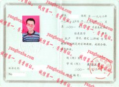 延边大学毕业证样本