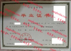 枣庄科技职业学院毕业证样本