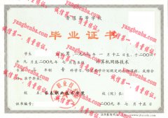 长春职业技术学院毕业证样本