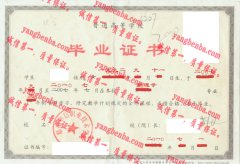 郑州华信职业技术学院毕业证样本