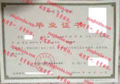 郑州幼儿师范高等专科学校毕业证样本